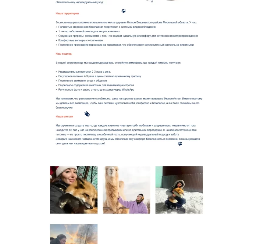 webdesign-devichie-zarstvo-ru-ai-hills-agency-about webdesign-devichie-zarstvo-ru-ai-hills-agency-about